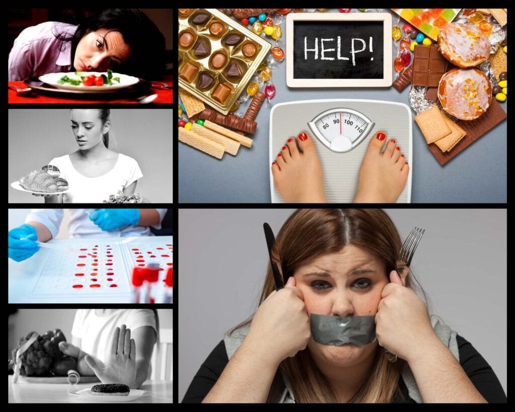 Tipos de Dieta - Quais as Diferenças entre elas?