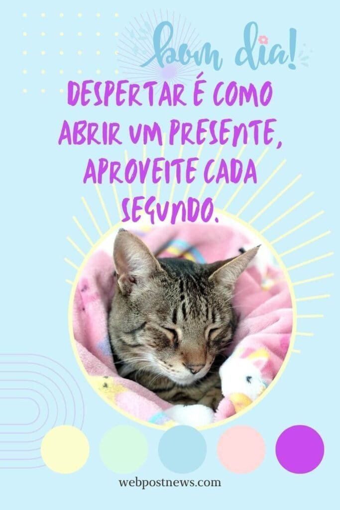 Bom Dia